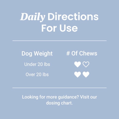 Multivitamin Soft Chews For Dogs - HolistaPet