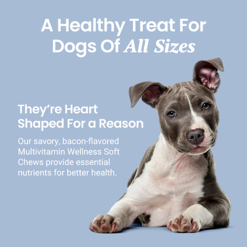 Multivitamin Soft Chews For Dogs