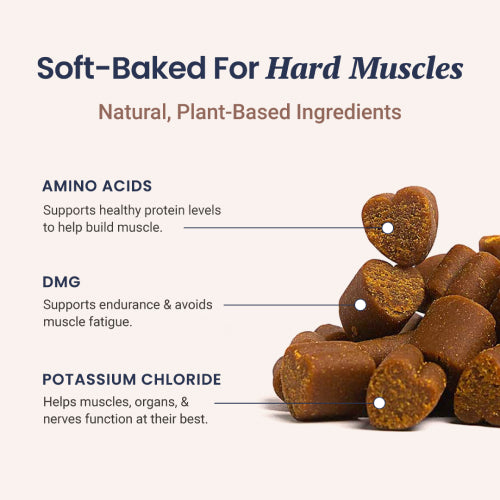 Muscle Support Soft Chews for Dogs - HolistaPet