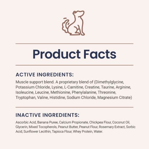 Muscle Support Soft Chews for Dogs - HolistaPet