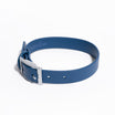 Dog Collars - HolistaPet