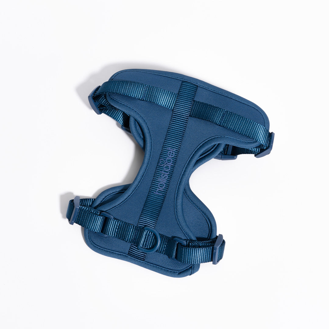 Dog Harness - HolistaPet