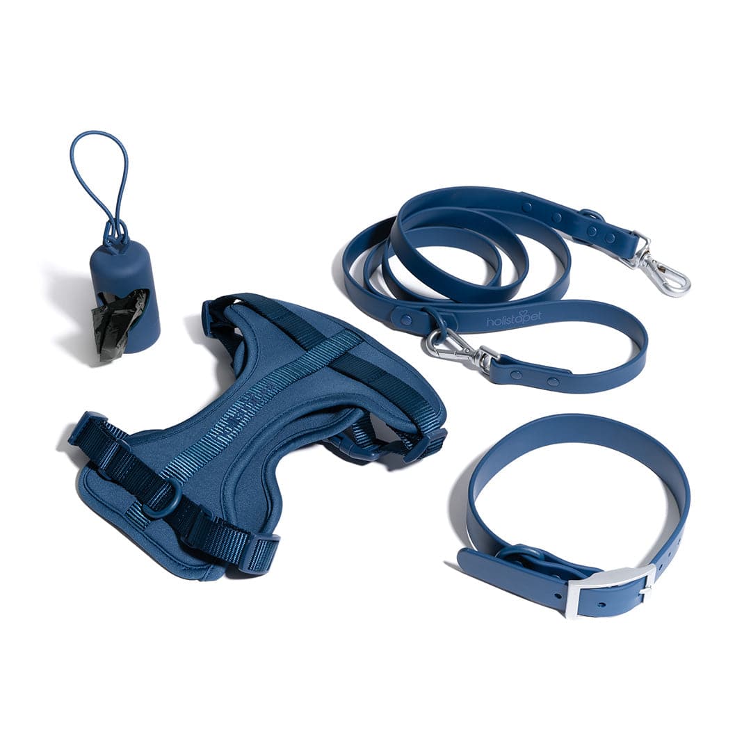 "Walk It Out Bundle" - HolistaPet