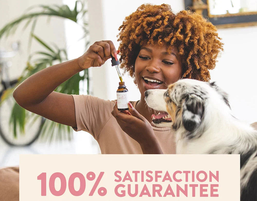 OPTIMIZE_BACKUP_PRODUCT_CBD Oil Tincture for Dogs