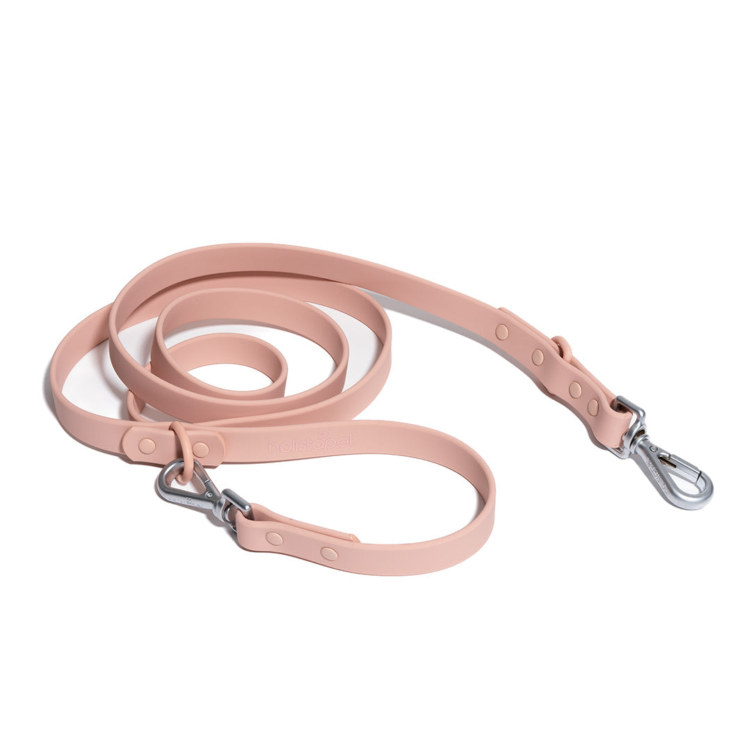 Dog Leashes - HolistaPet