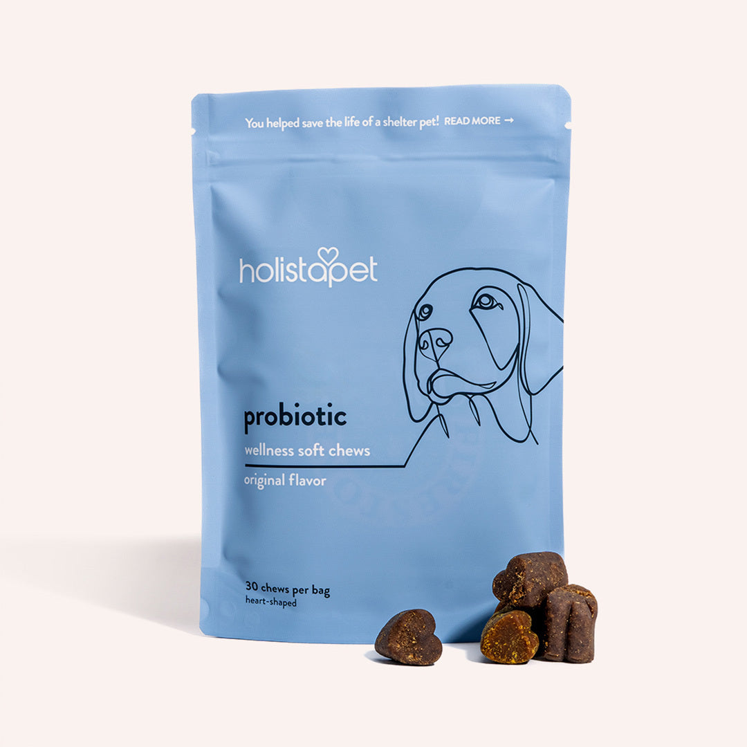HolistaPet probiotic soft chews for dogs, showing packaging and illustrations of digestive health benefits.
