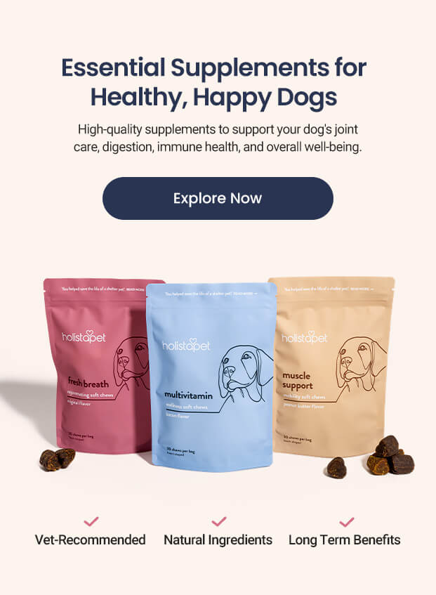 holistapet supplements