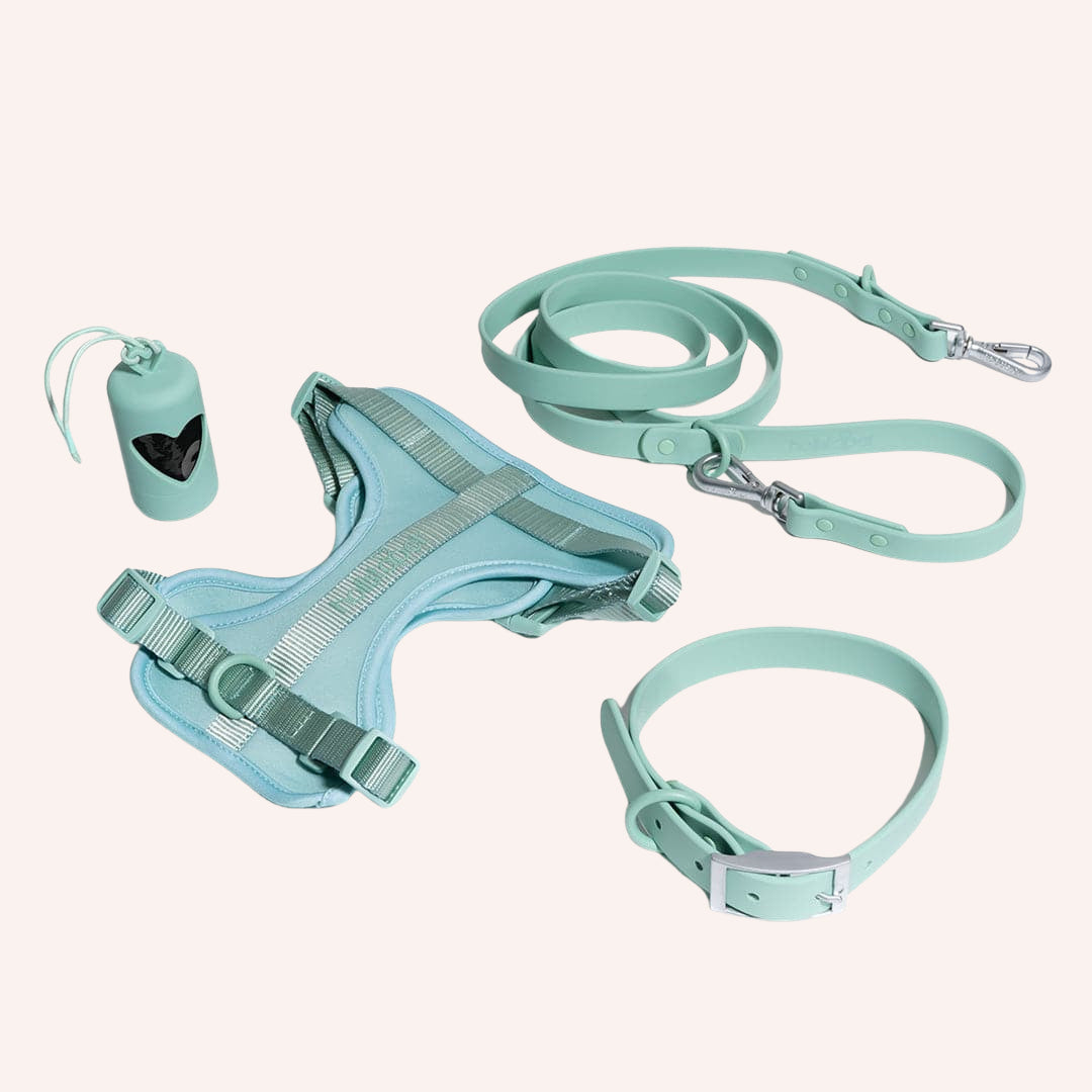 "Walk It Out Bundle" - Holistapet