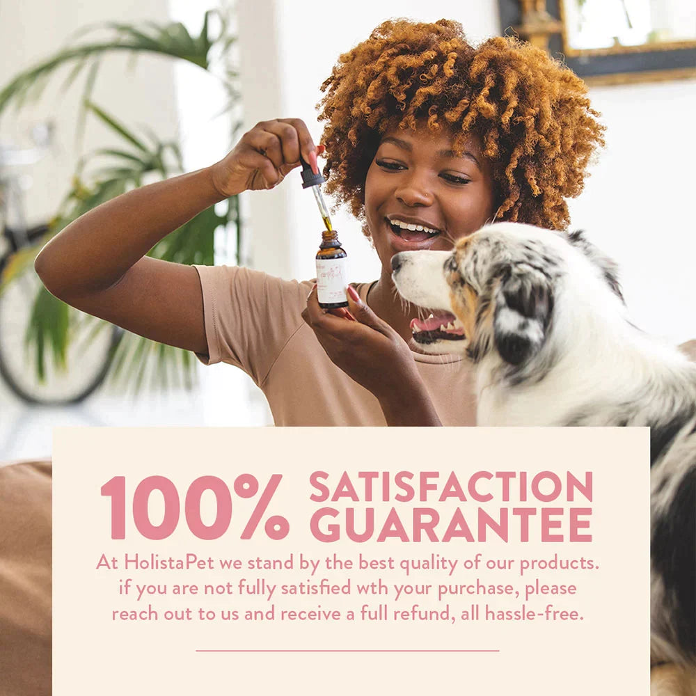 HolistaPet CBD oil for dogs in a small glass dropper bottle with a white label and black cap, set against a plain background.