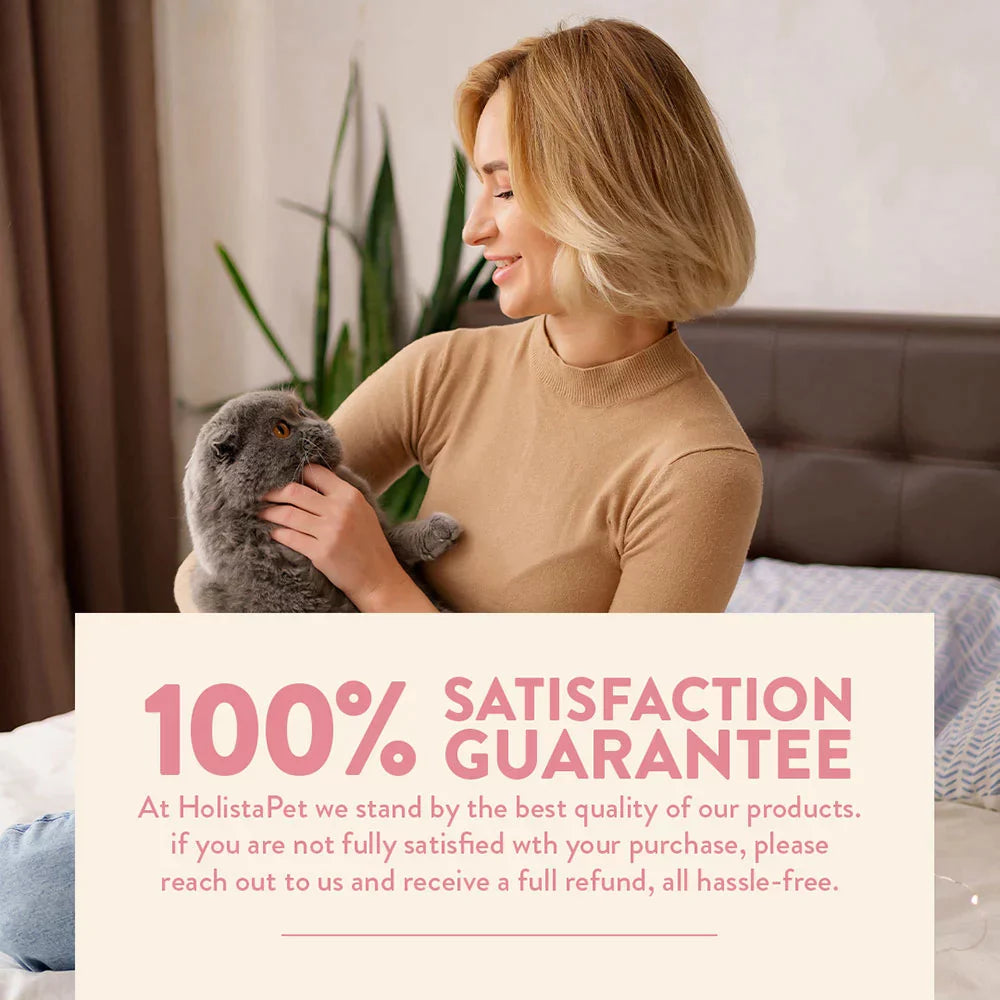 CBD Oil for Cats