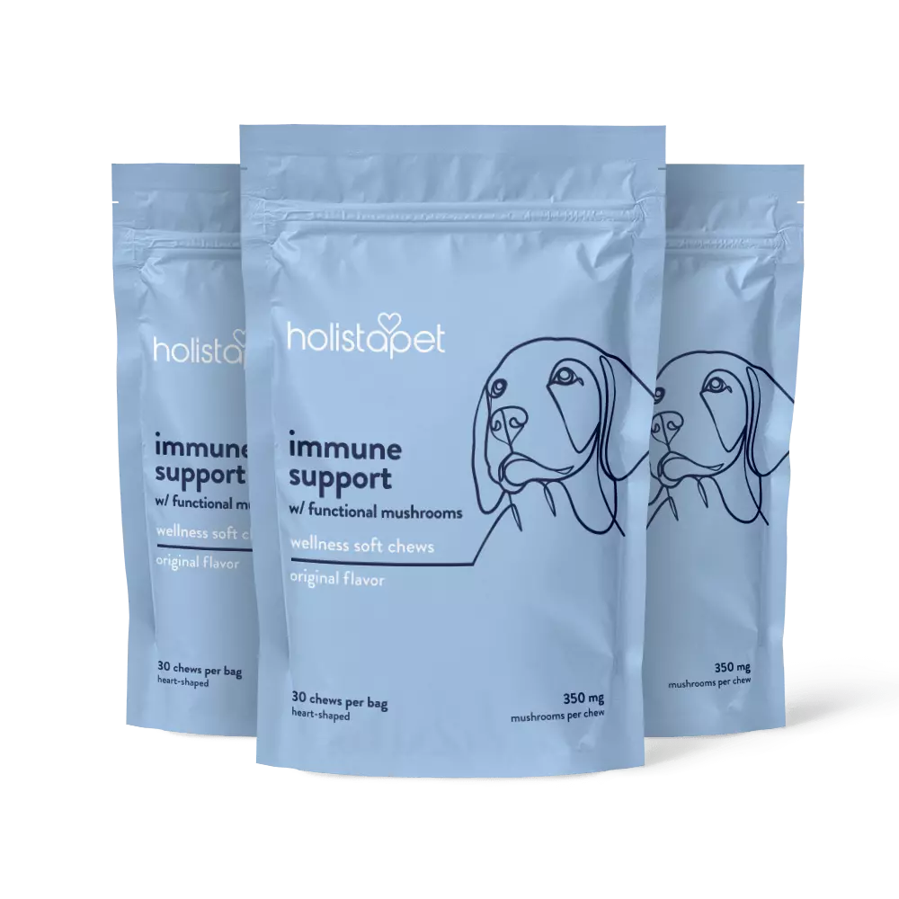 Holistapet Reishi Mushroom soft chews for dogs, natural supplement with Reishi mushroom, in a 3-pack, designed for canine health.