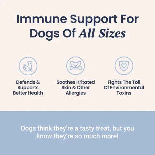 Holistapet Reishi Mushroom soft chews for dogs, featuring natural reishi benefits in a tasty treat for canine health.