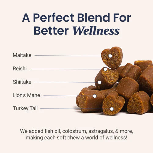 Holistapet Reishi Mushroom soft chews for dogs with reishi mushroom in a natural dog treat form.