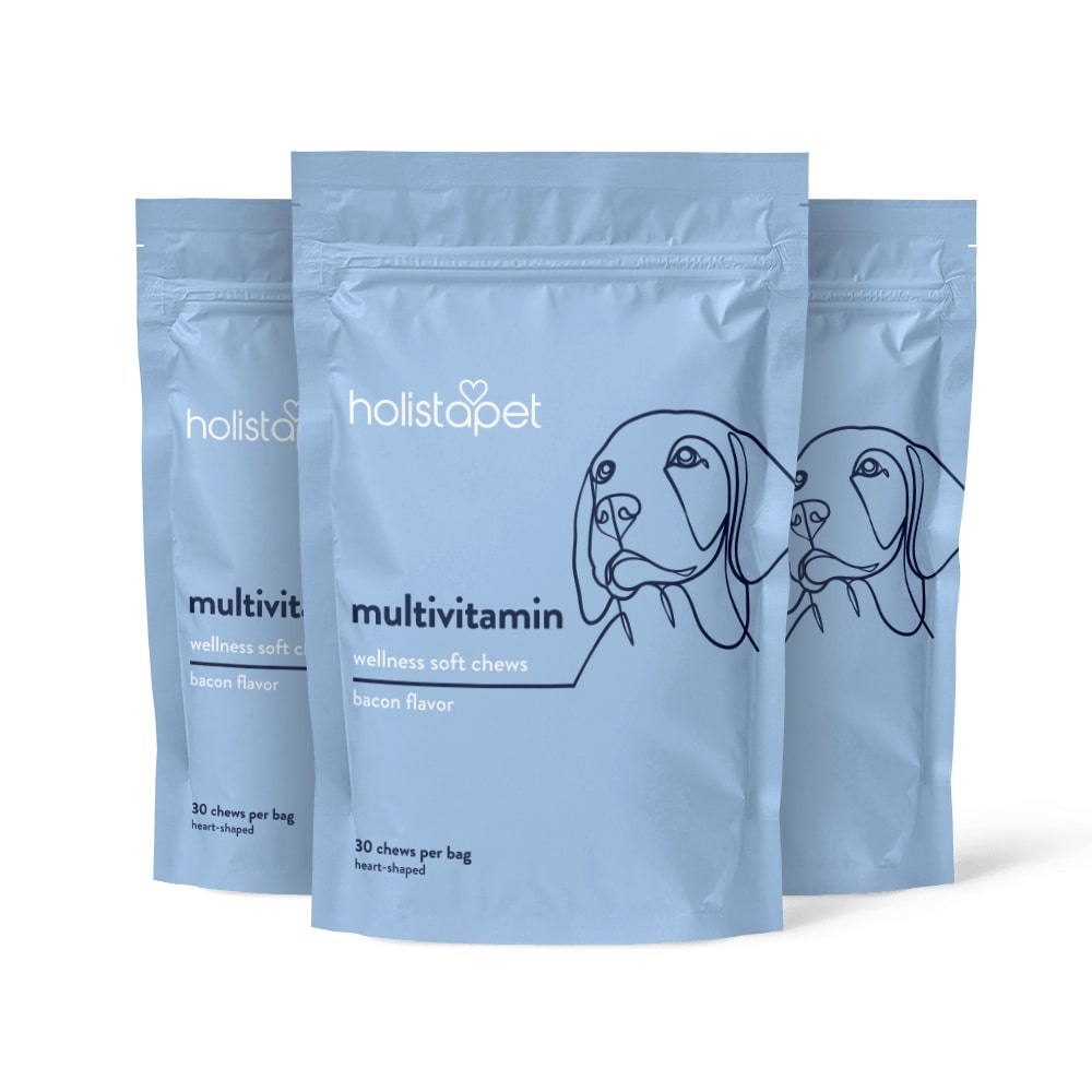 Multivitamin Soft Chews For Dogs - HolistaPet