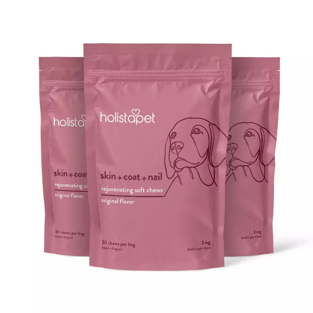 Skin, Coat, & Nail Soft Chews for Dogs - HolistaPet