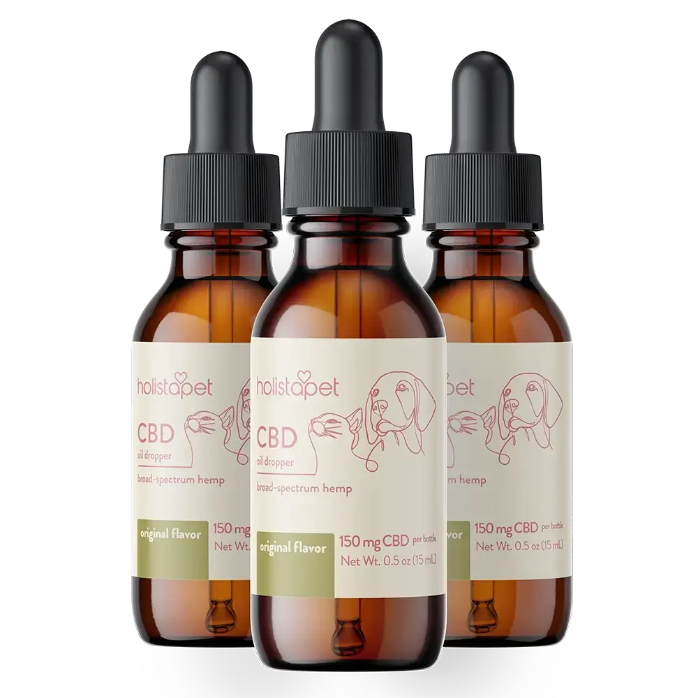 CBD Oil for Cats - HolistaPet