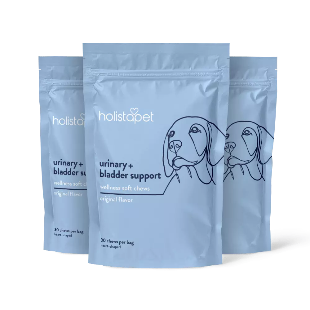 Urinary + Bladder Support Soft Chews for Dogs - HolistaPet