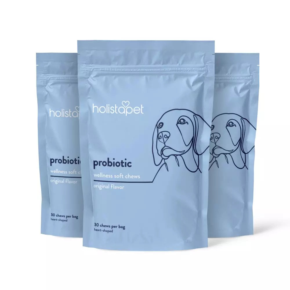 HolistaPet probiotic soft chews for dogs with visible dog treats in a clear package, promoting digestive health.