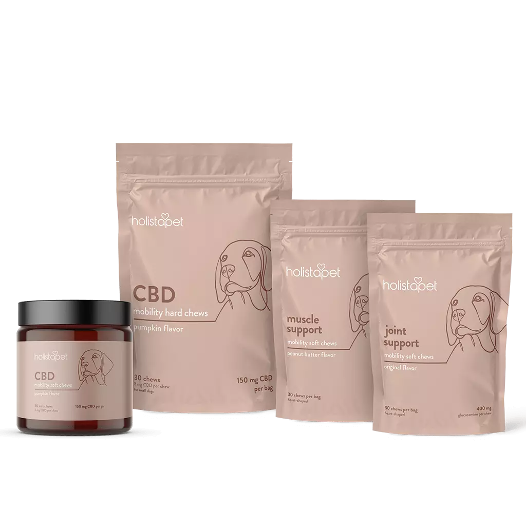 "I Like To Move It Move It!" Bundle - HolistaPet