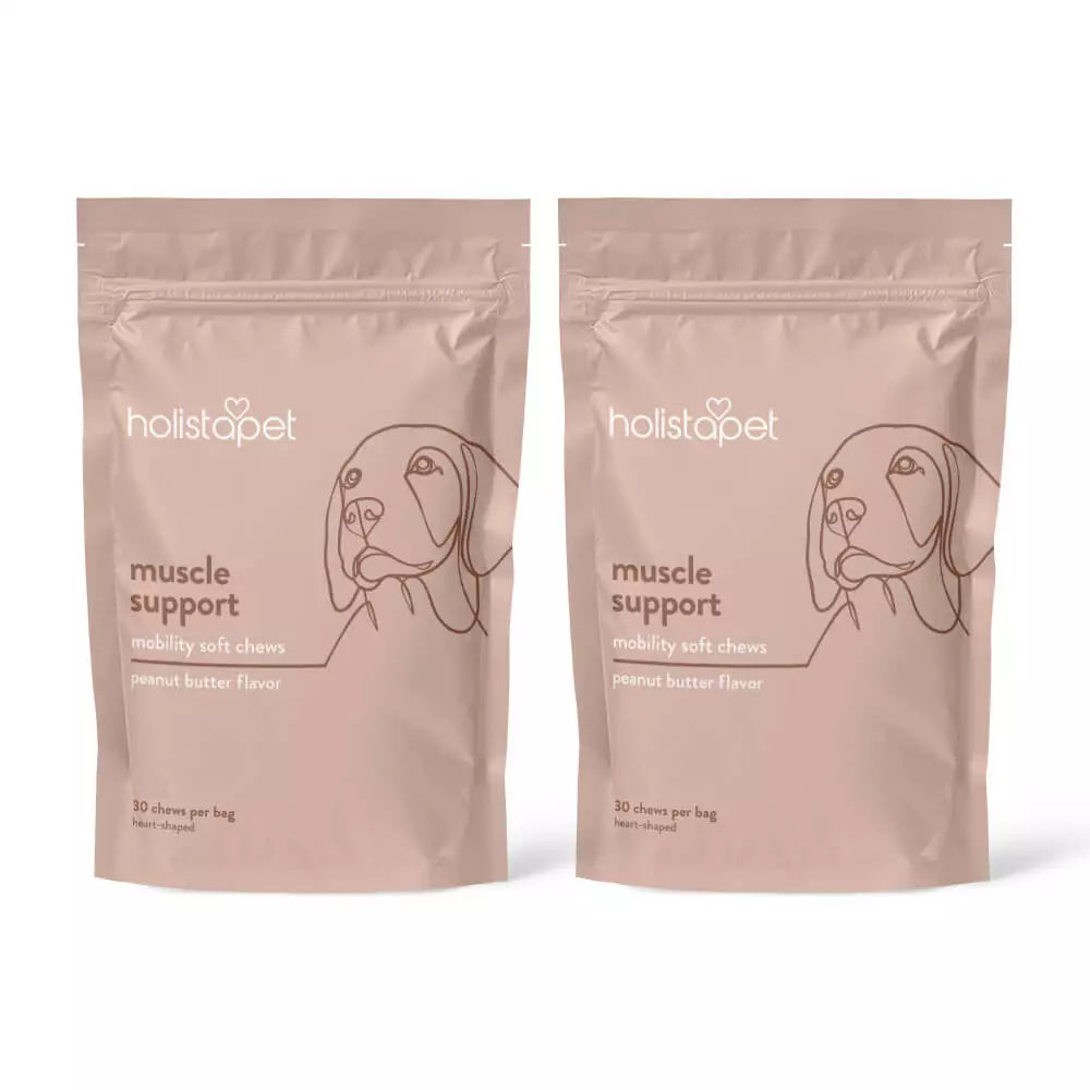 Muscle Support Soft Chews for Dogs - HolistaPet