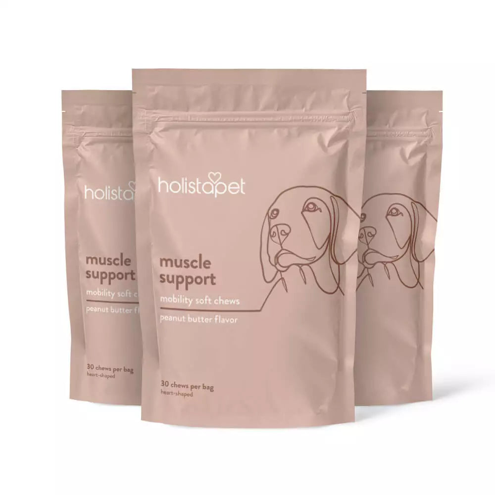 Muscle Support Soft Chews for Dogs - HolistaPet