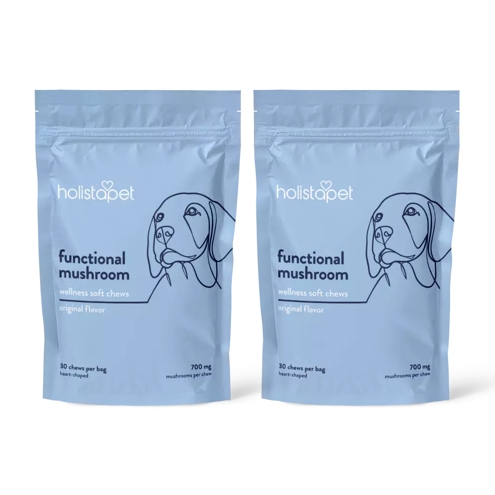 Functional Mushroom Soft Chews For Dogs - HolistaPet