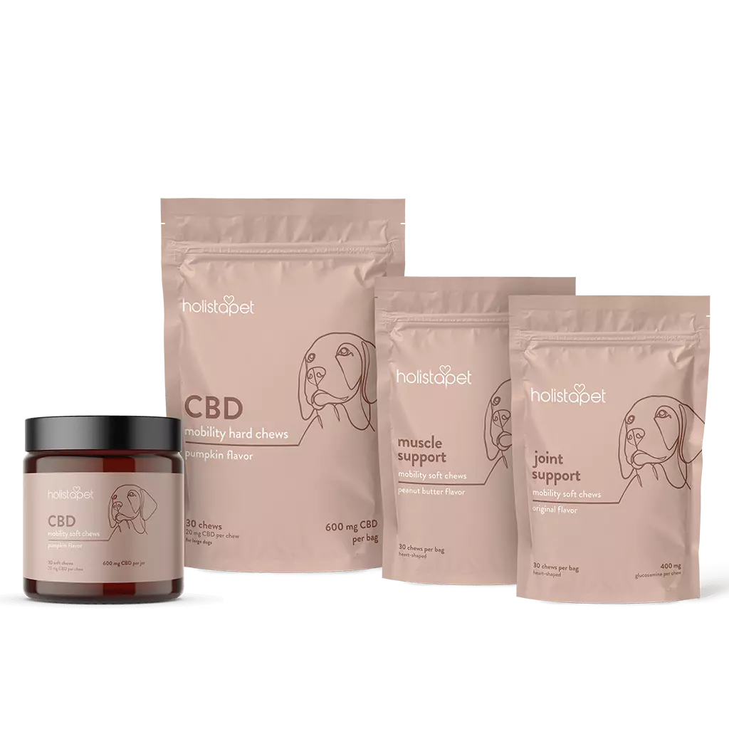 "I Like To Move It Move It!" Bundle - HolistaPet