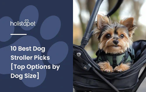 A small brown and black dog sitting down in a dog stroller.