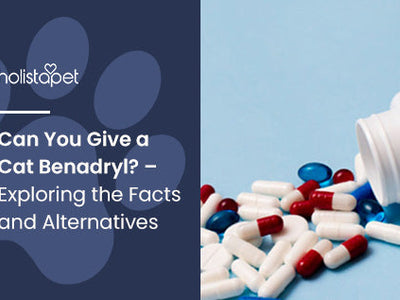 Can You Give a Cat Benadryl? – Exploring the Facts and Alternatives