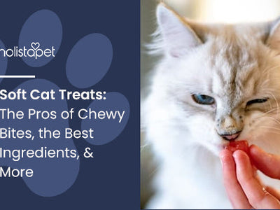 Soft Cat Treats: The Pros of Chewy Bites, the Best Ingredients, & More