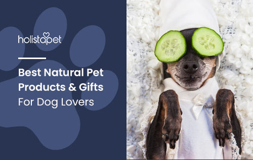 Best Natural Pet Products & Gifts For Dog Lovers