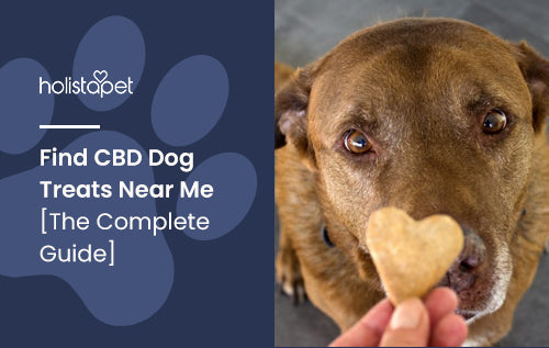 Find CBD Dog Treats Near Me [The Complete Guide]