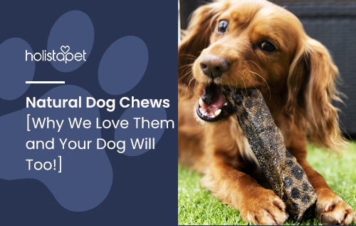 Natural Dog Chews [Why We Love Them and Your Dog Will Too!]