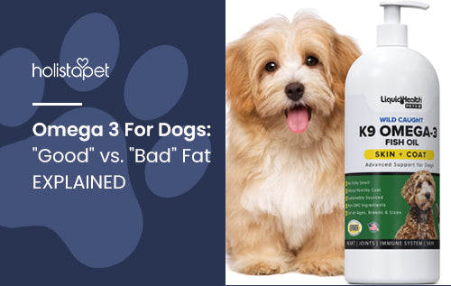 Omega 3 For Dogs: "Good" vs. "Bad" Fat EXPLAINED