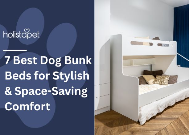 7 Best Dog Bunk Beds Featured blog Image by Holistapet. Shows a white dog bunk bed in a clean home.
