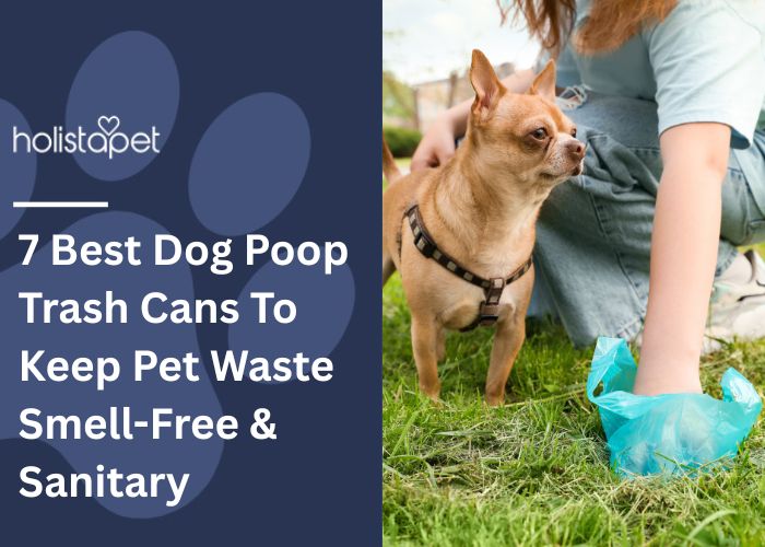 7 Best Dog Poop Trash Cans Featured blog Image by Holistapet. Shows a woman picking up a chihuahua's waste with a dog poop bag.