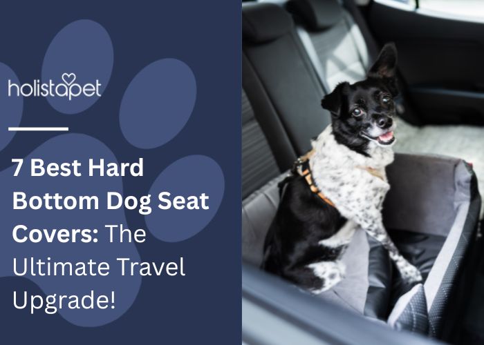 7 Best Hard Bottom Dog Seat Covers Feature Image by Holistapet