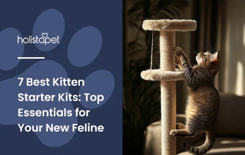 A kitten climbing a cat tower.