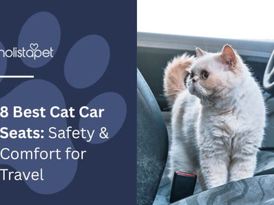 8 Best Cat Car Seats: Safety & Comfort for Travel