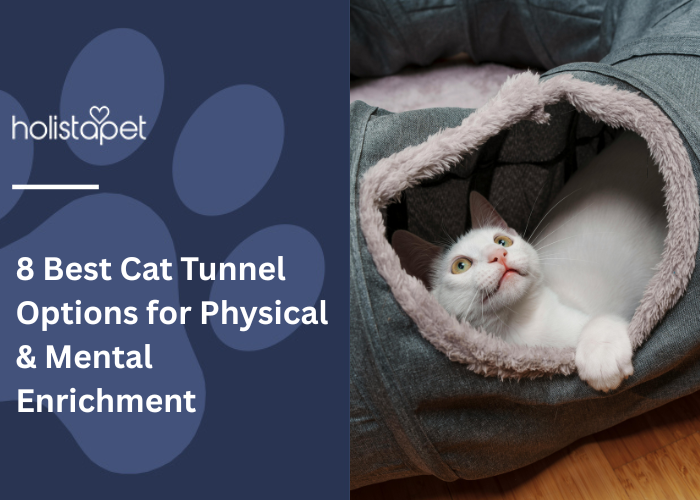 Cat Tunnel Featured blog images by Holistapet a white cat lounging inside a cozy, grey tunnel, representing playful enrichment. 