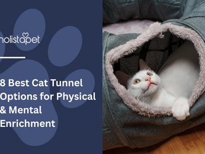 8 Best Cat Tunnel Options for Physical & Mental Enrichment