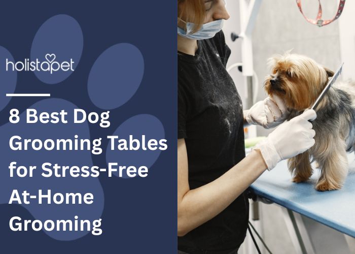 Dog Grooming Tables Feature Image by Holistapet