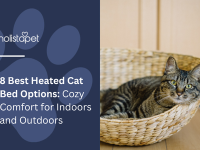 8 Best Heated Cat Bed Options: Cozy Comfort for Indoors and Outdoors