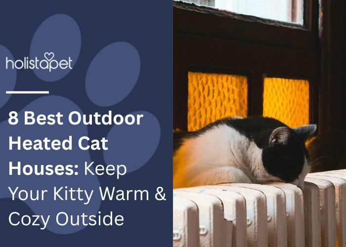 8 Best Outdoor Heated Cat Houses featured blog image by Holistapet. Shows a black and white cat resting on a warm radiator next to a window, suggesting warmth and coziness.