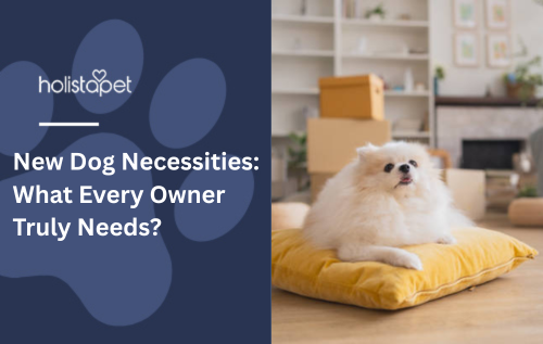 New Dog Necessities: What Every Owner Truly Needs?