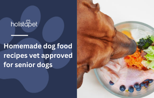 Homemade dog food recipes vet approved for senior dogs