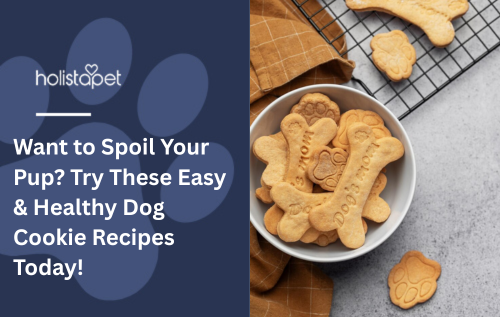 Want to Spoil Your Pup? Try These Easy &amp; Healthy Dog Cookie Recipes Today!