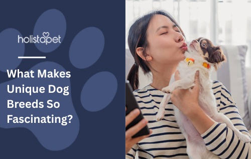 What Makes Unique Dog Breeds So Fascinating?