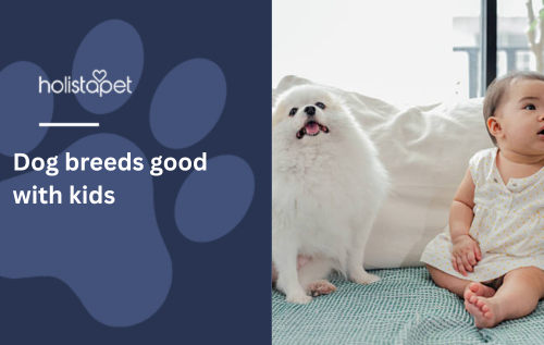 Dog breeds good with kids