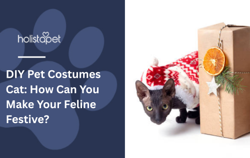 DIY Pet Costumes Cat: How Can You Make Your Feline Festive?